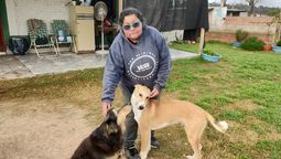 la vecina de domselaar que sostiene un refugio a pulmon: nadie adopta a los perros negros