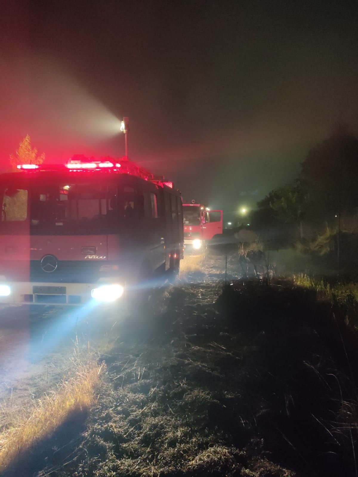 Bomberos de Lomas de Zamora trabajando en el incendio de pastos de Ingeniero Budge.