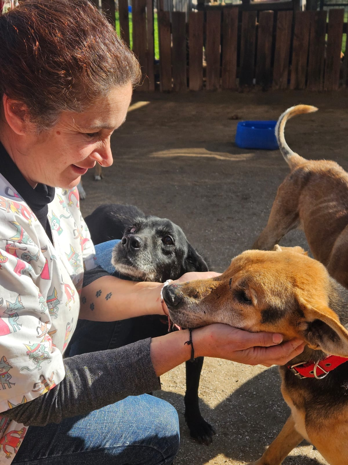 Marcela junto a Roly, un perro que tiene 12 años al cual atiende desde que tenía 4 meses. Todavía buscan una familia para él.