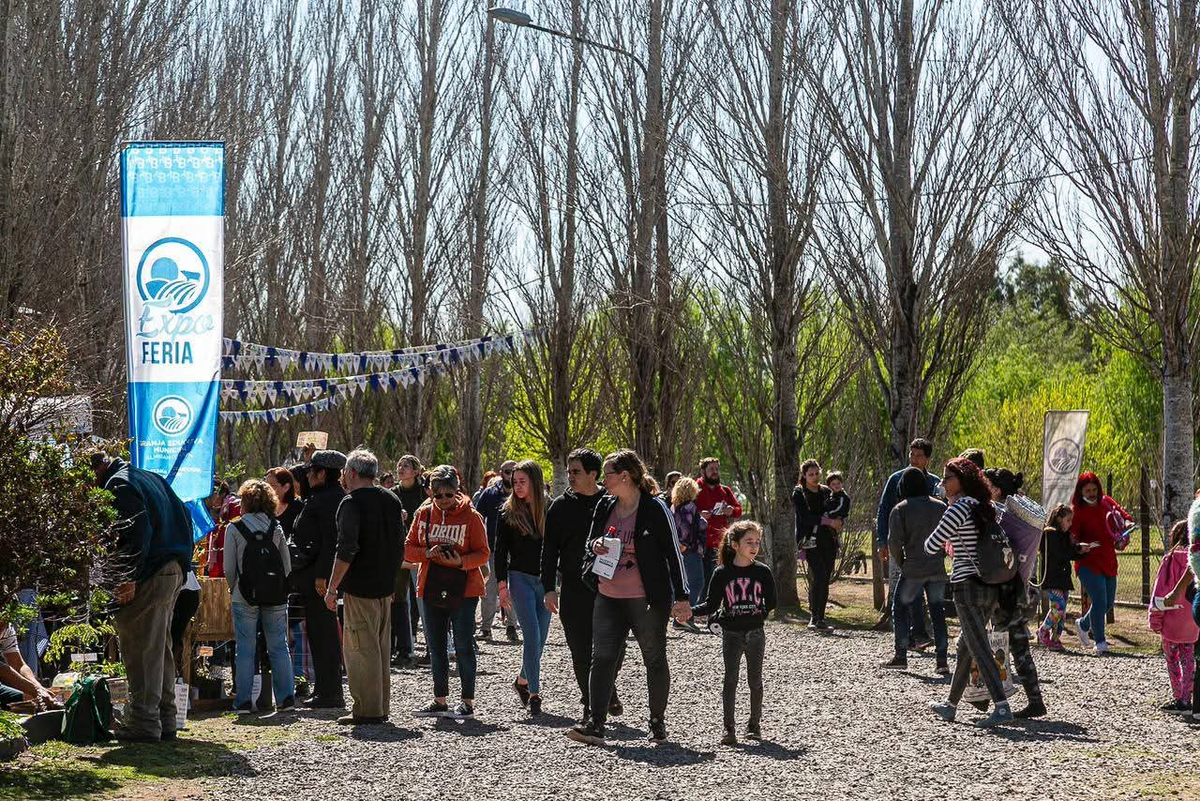 La Expo se realiza todos los años. La Expo se realiza todos los años.