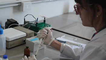 Kicillof se diferencia de Milei y aumenta las becas para investigación científica