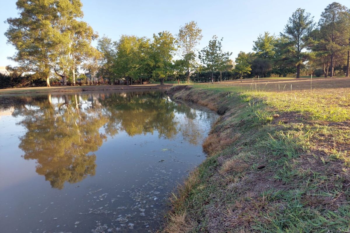 Lagunas bajas, pasto seco y dificultades con el agua en Canning ante una sequía histórica