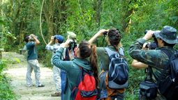 curso de observacion de aves en santa catalina: fechas, lugar y como participar