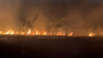 Almirante Brown: feroz incendio forestal destruyó un vivero