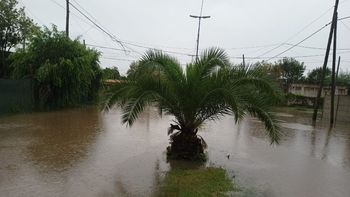 San Vicente y Alejandro Korn bajo agua: calles inundadas y 10 mil usuarios sin luz