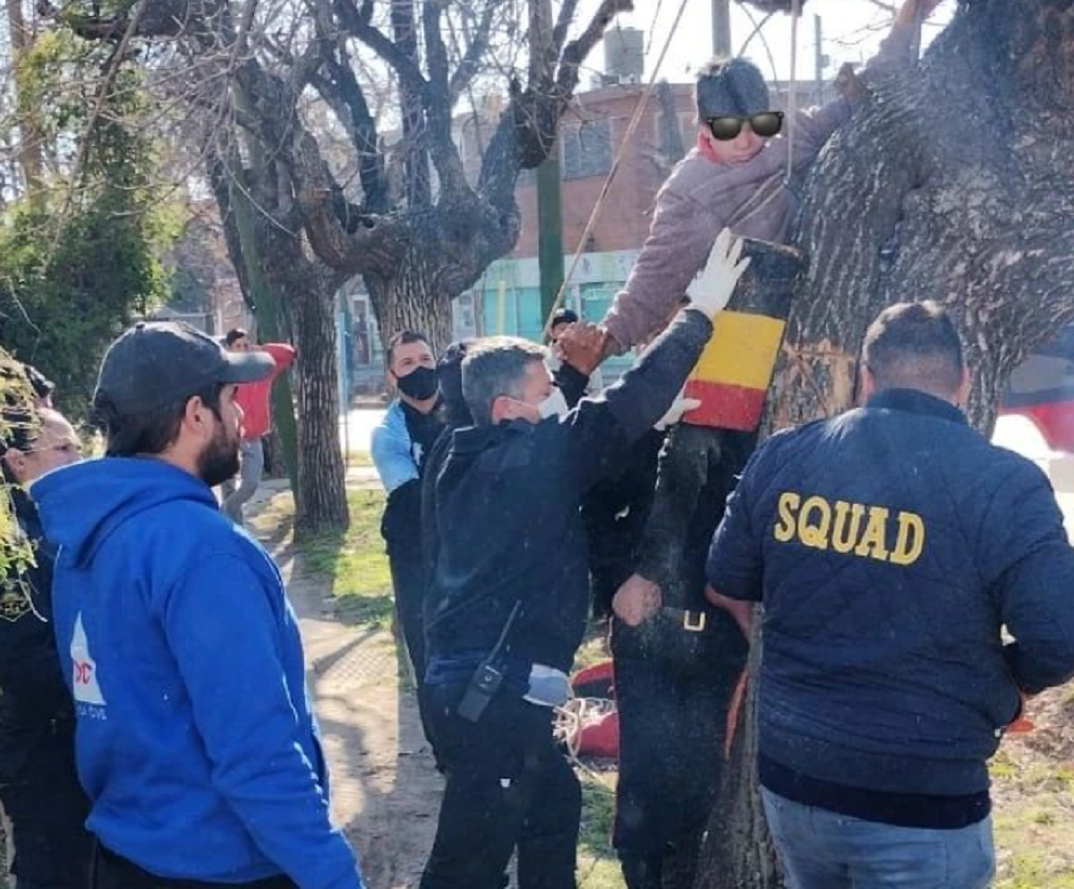 Bomberos rescataron a un nene atrapado en un árbol en Longchamps 
