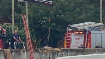 Conmoción en Lomas: hallaron el cuerpo de un hombre en el Arroyo del Rey