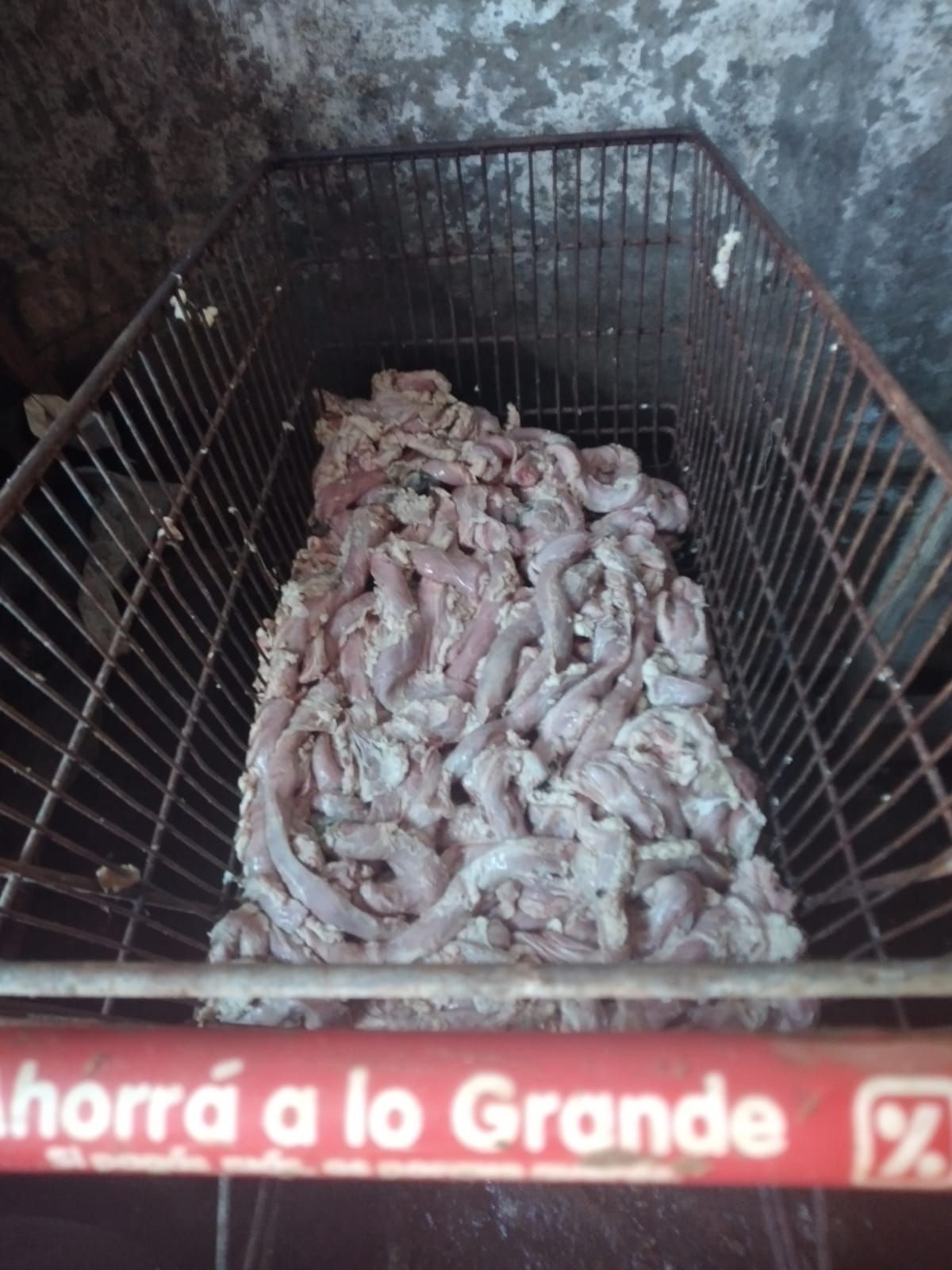 Carne en un changuito de supermercado, uno de las postales horribles del allanamiento en Alejandro Korn.