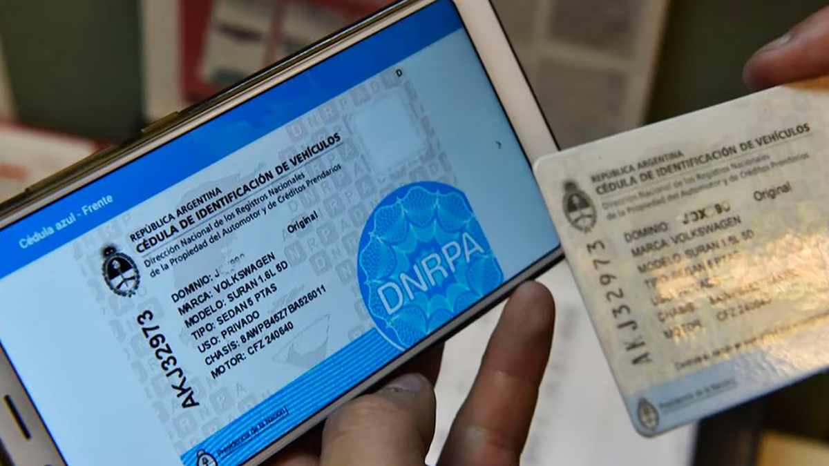 El Gobierno reglament&oacute; la nueva "c&eacute;dula azul" a trav&eacute;s de la publicaci&oacute;n de una disposici&oacute;n en el Bolet&iacute;n Oficial. Los detalles.