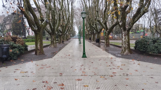 Inestabilidad en el Conurbano: fin de semana con tormentas aisladas