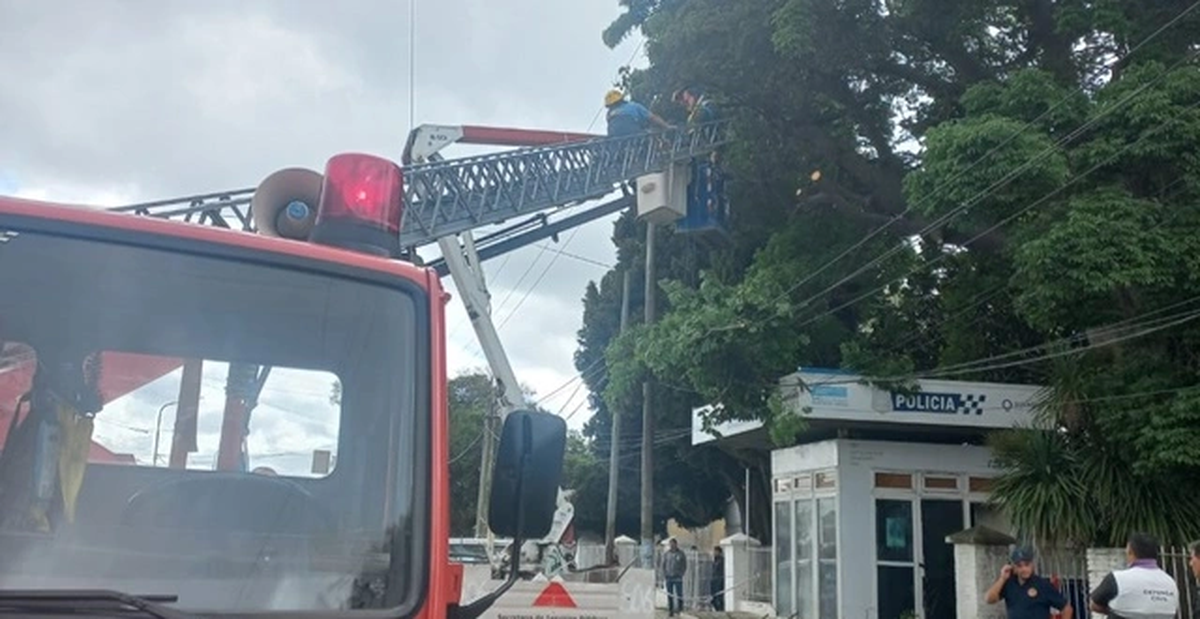 Operario municipal de Quilmes murió electrocutado mientras podaba un árbol