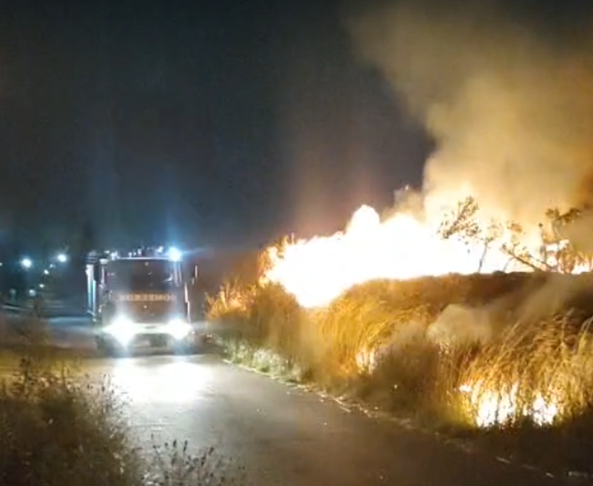 Los Bomberos Voluntarios de Glew actuaron con r&aacute;pidez.