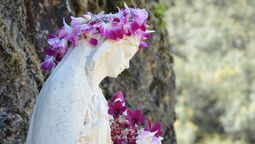 historias de santos: cuidar la esperanza