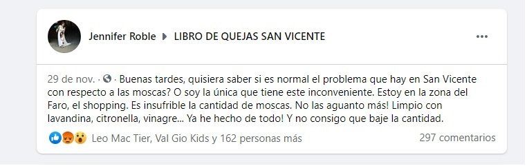 Reclamos en redes por la invasión de moscas en San Vicente.