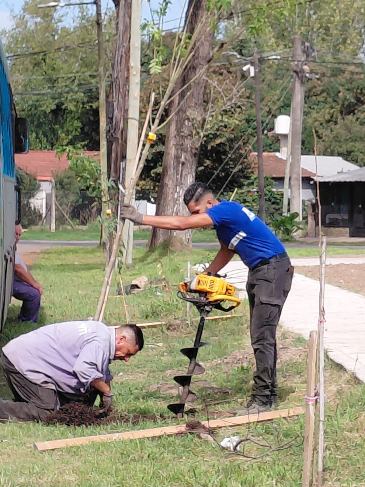 Trabajos de forestación en el Parque Don Orione, con incorporación de especies nativas.