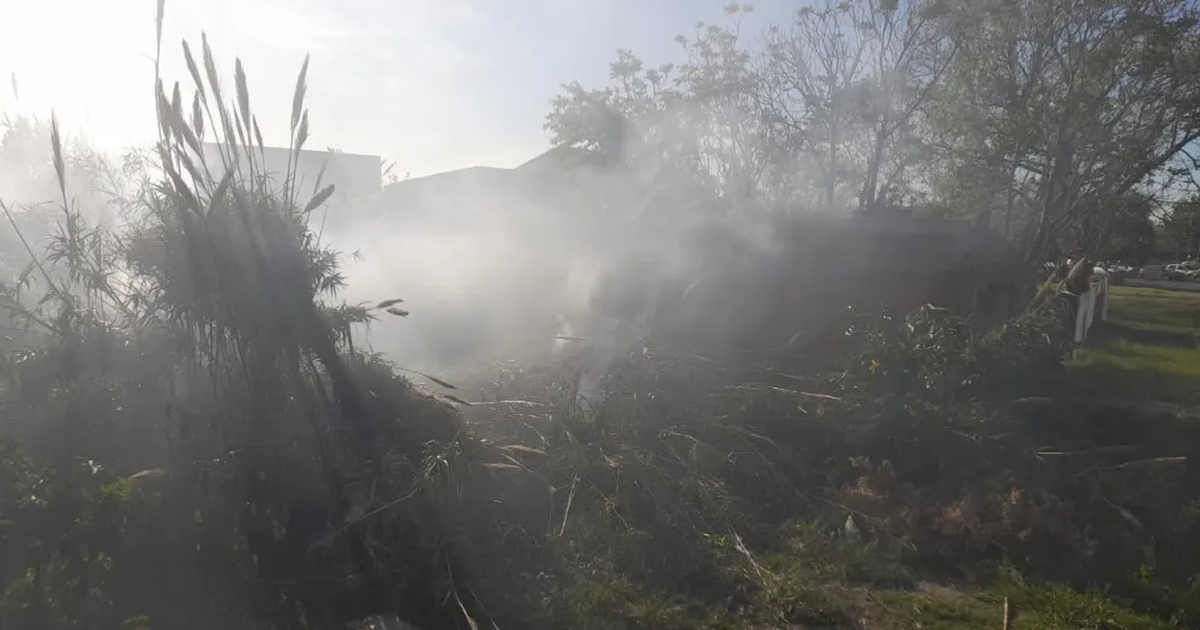 El descampado que resultó afectado por el incendio en Lomas de Zamora.