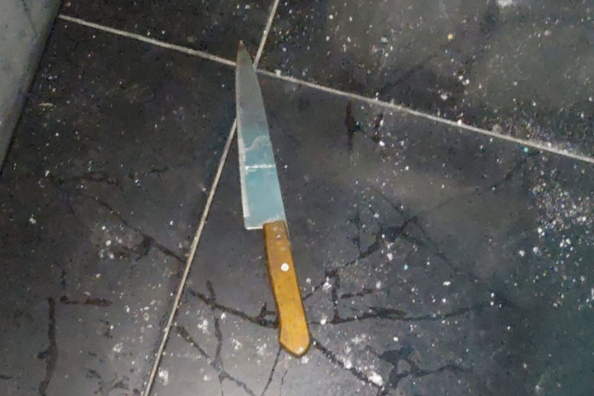 Con este cuchillo la mujer apuñaló a su ex en La Matanza. 