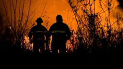 lanus: intenso incendio en el predio ex campomar