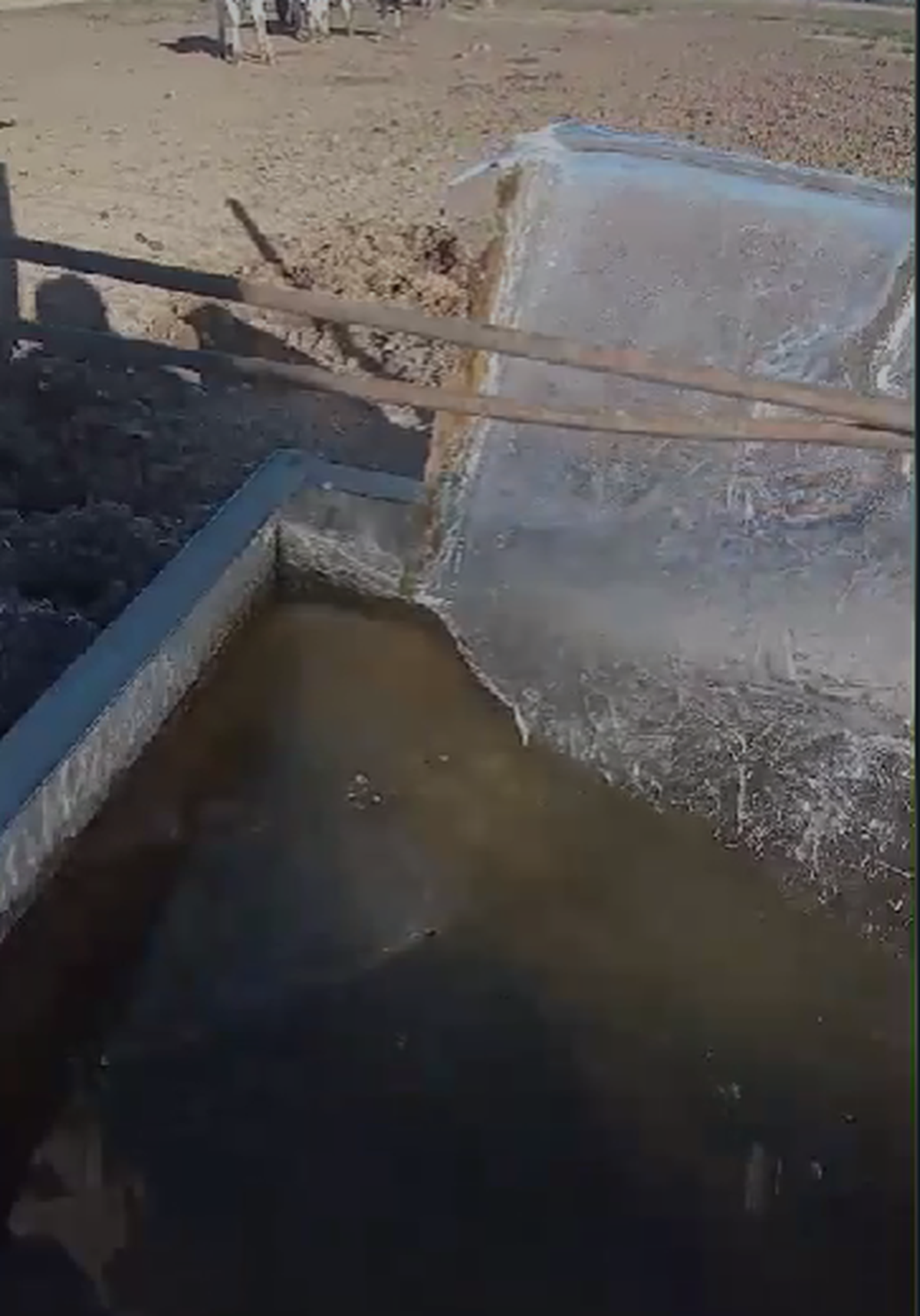 Los bebederos de los animales volvieron a congelarse en San Vicente.