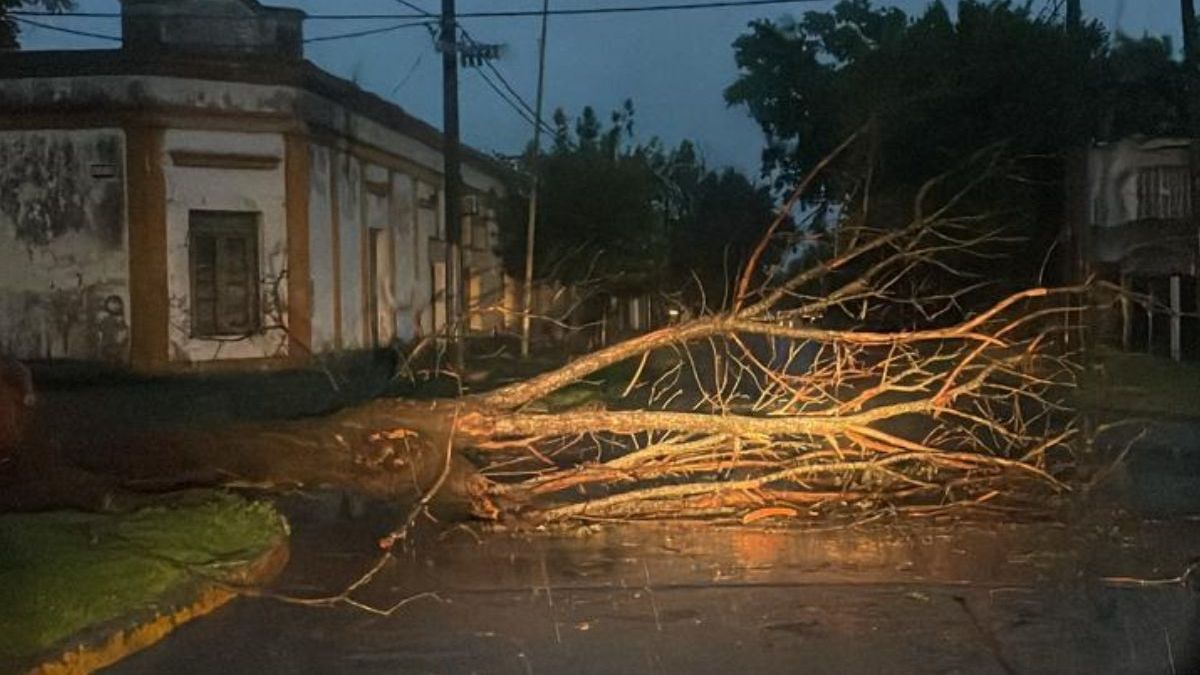 Burzaco: destrozos en el techo de un club por el temporal