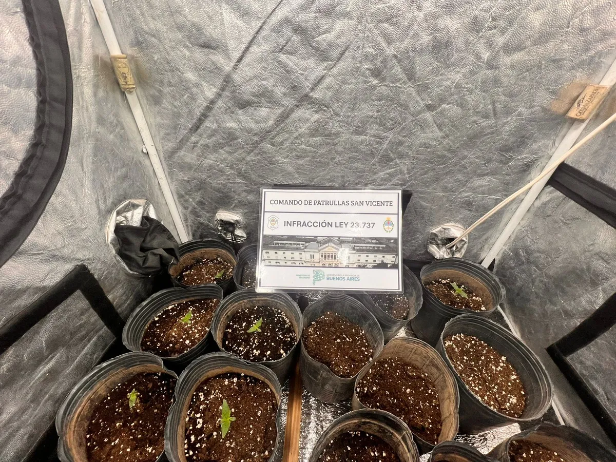 El allanamiento en San Vicente.