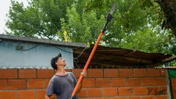 san vicente: realizan un programa para aprender sobre poda y mantenimiento de arboles