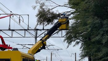 Operativo de Trenes Argentinos en El Jagüel por el árbol que cayó sobre la catenaria e interrumpió el servicio