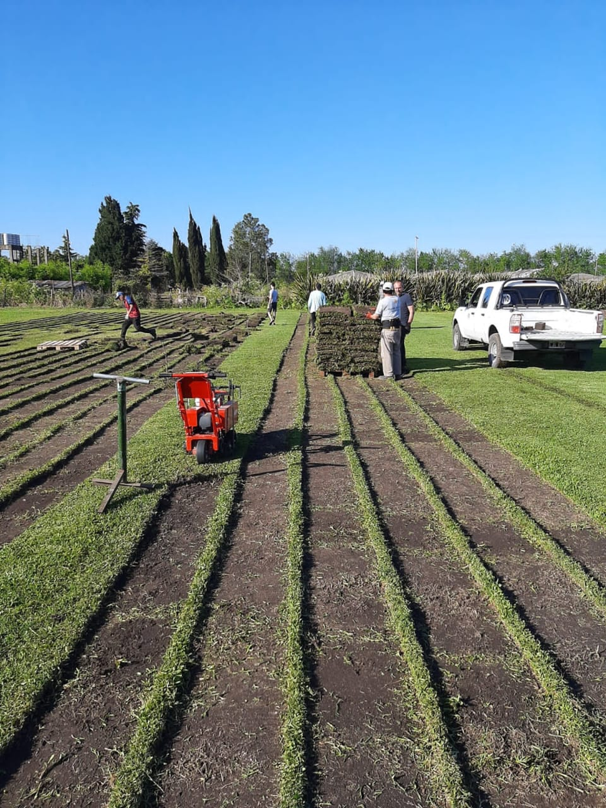 En las quintas de la zona se producen verduras de hoja, tomate, morrón, berenjena y flores. En las quintas de la zona se producen verduras de hoja, tomate, morrón, berenjena y flores.