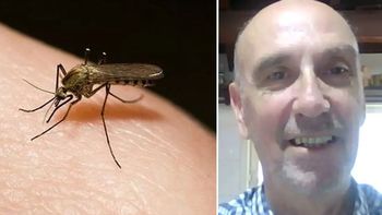 Nueva invasión de mosquitos en la región a pesar del frío: 