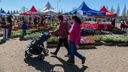 realizaran una nueva edicion de la expo feria en almirante brown: que actividades habra
