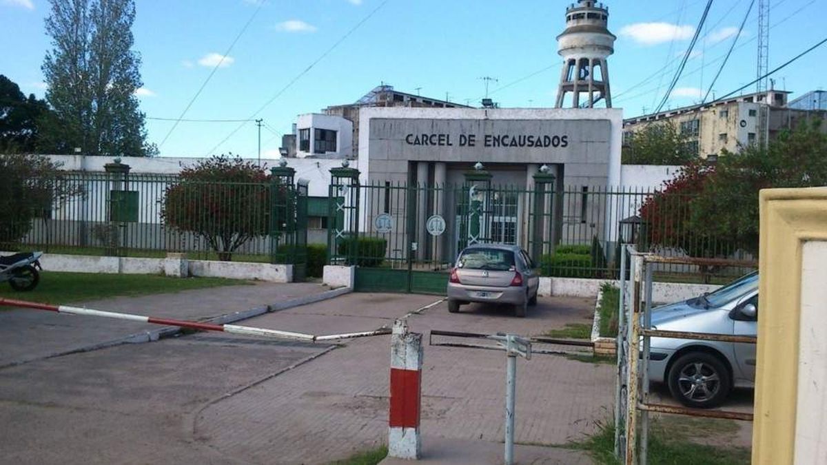 Los rugbiers están presos en la Alcaldía Departamental N°3 de La Plata, en Melchor Romero. 