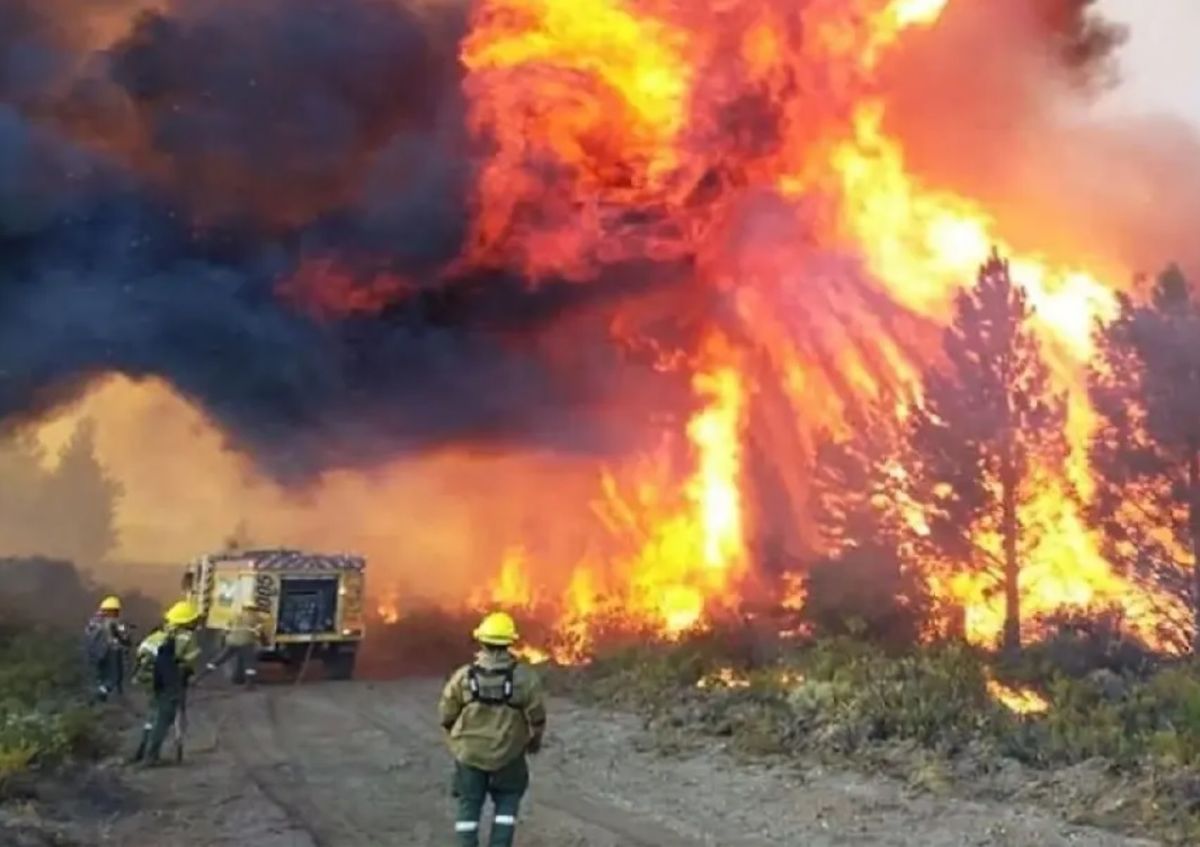 Un Suboficial de los Bomberos de Esteban Echeverría viajó para ayudar en el incendio. 