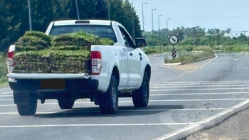 Canning: un vivero denunció el robo de su carga en la puerta de Horizontes al Sur por una camioneta con el logo del PAMI