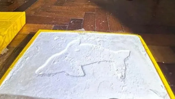 con operativos en lomas, desarticularon una banda narco con el sello del delfin