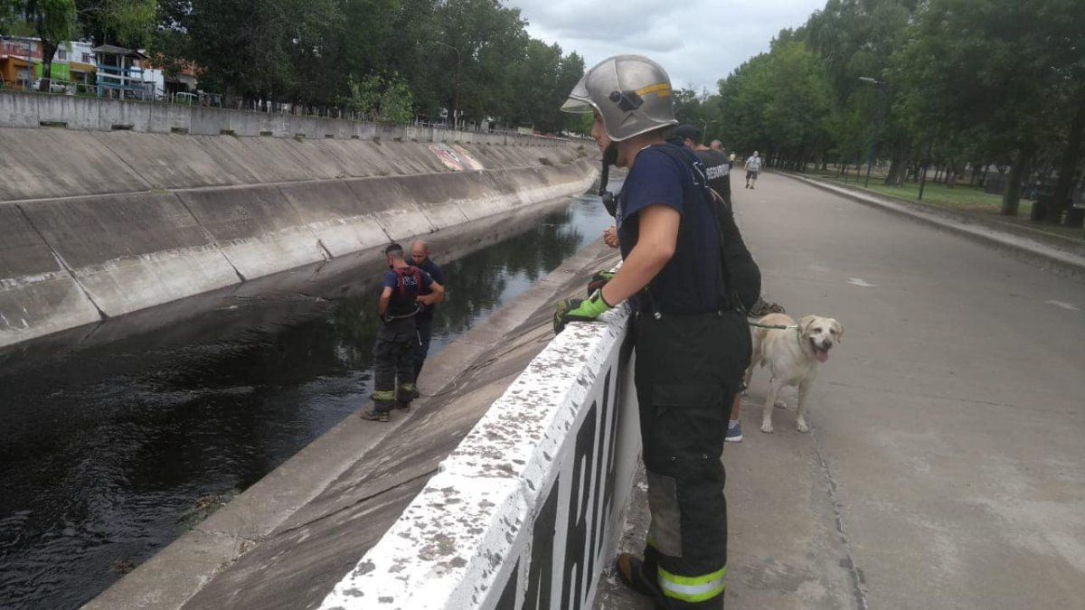 Bomberos de Lomas de Zamora durante el rescate en el Arroyo del Rey.