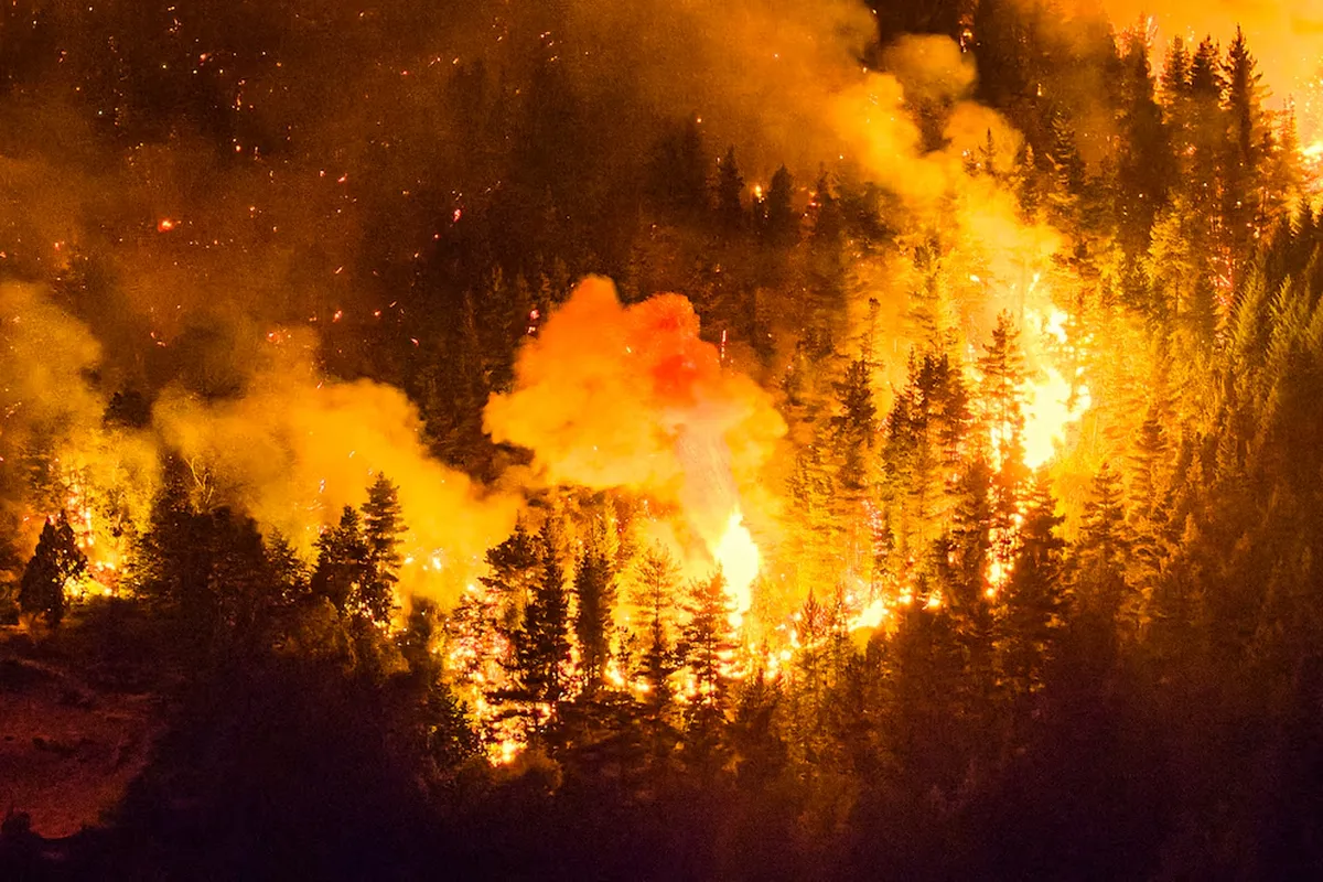 San Vicente solidario: vecinos organizan ayuda para los incendios en la Patagonia