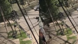 Lanús: un hombre fue asesinado a tiros en medio de una disputa barrial en Villa Jardín