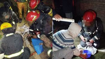 Bomberos de Almirante Brown reanimaron a cuatro animales tras un feroz incendio