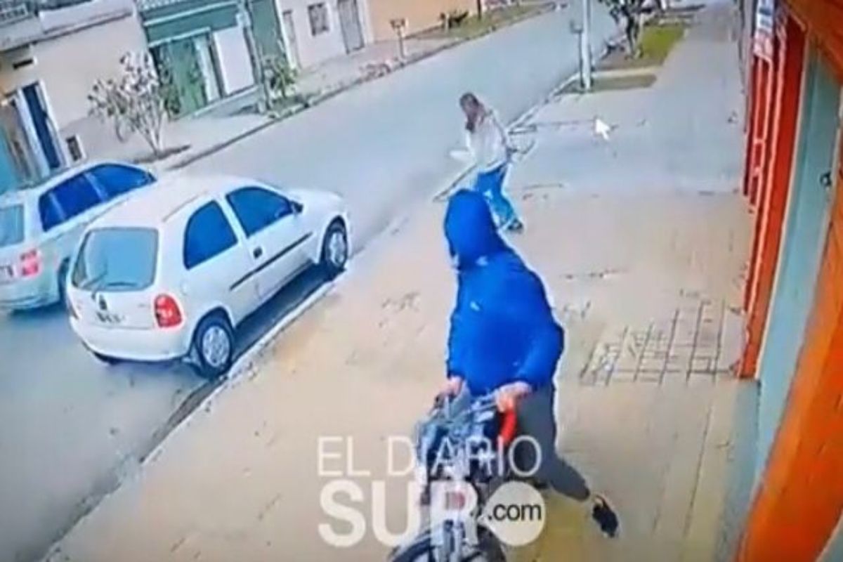 Video: una vecina de Lanús evitó el ataque de un motochorro