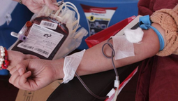organizan campana de donacion de sangre en el hospital gandulfo de lomas