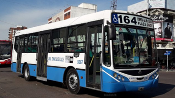 Más líneas de colectivos afectadas en Zona Sur por la reducción de frecuencias: cuáles son