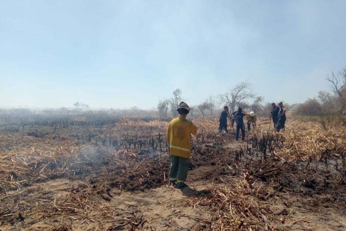 Bomberos resaltaron la prevención de los incendios forestales en Canning: Tuvimos menos trabajo