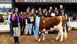las vacas de la universidad de lomas volvieron a ganar premios en la rural de palermo