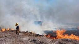 incendios en campos de san vicente: sospechan de ataques intencionales