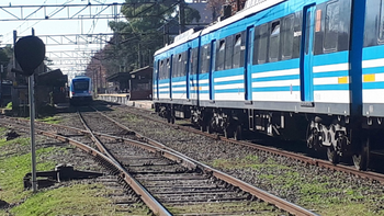 Una mujer murió tras ser embestida por el Tren Roca en Monte Grande: hay demoras