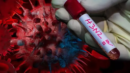 gripe h3n2: refuerzan el llamado a vacunarse tras los primeros casos en argentina