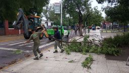 esteban echeverria: tras la tormenta,  el municipio desplego un operativo de limpieza en el distrito