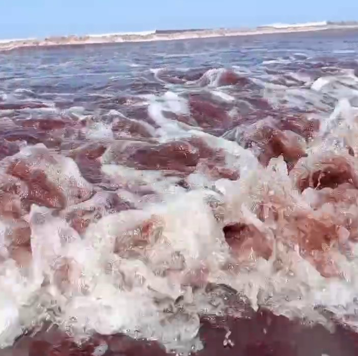 Así se veía el mar en la zona de Mar del Plata y Necochea. 