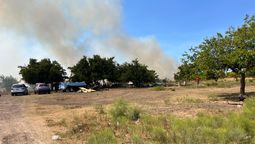 la desesperacion del dueno del campo de guernica que se incendio: saque los animales porque se morian todos