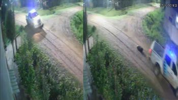 San Vicente: patrullero atropelló un perro